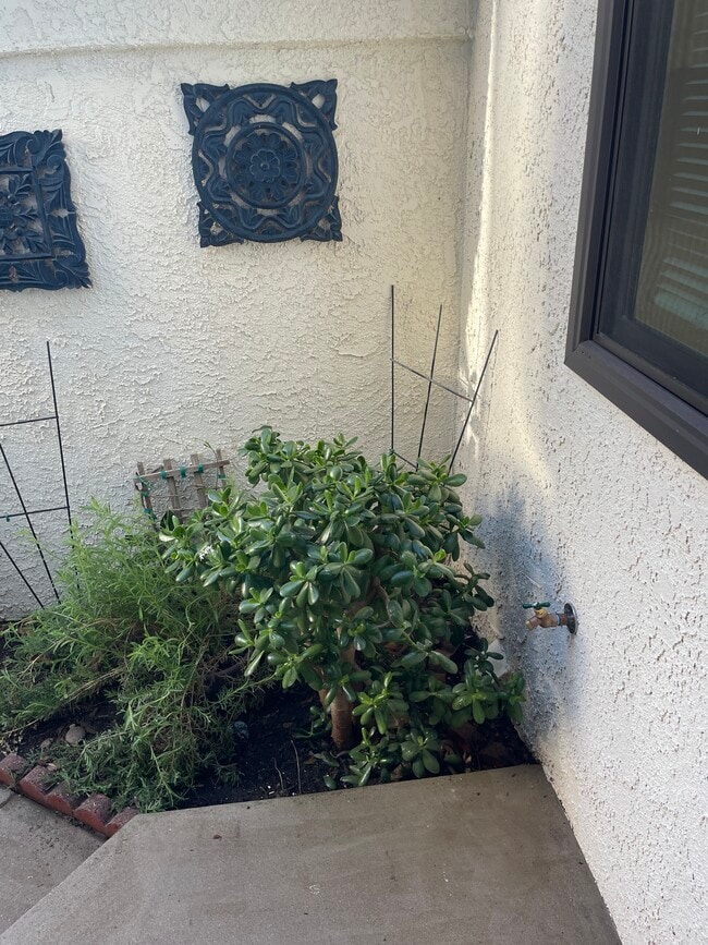 Building Photo - 1321 Calle Lozano