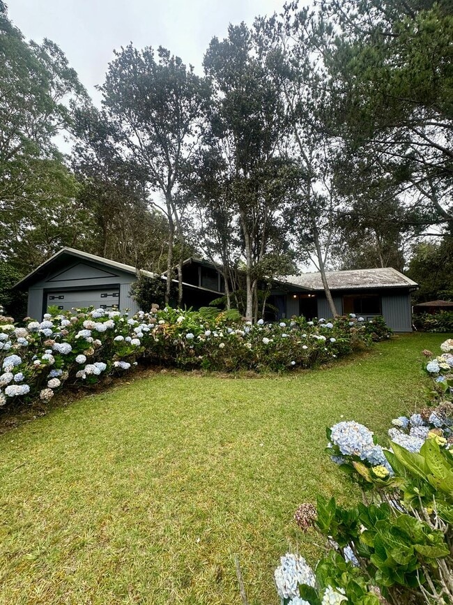 Building Photo - 99-7733-7733 Uluhe Pl