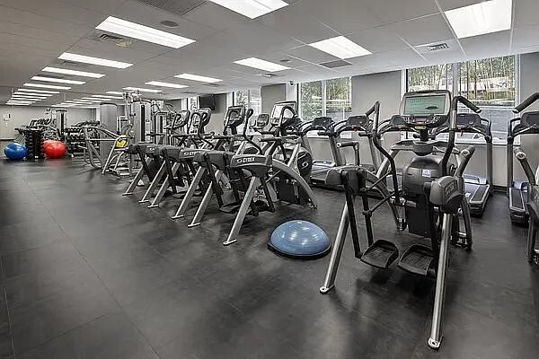 Building Photo - Bathe in Natural Light - Stunning Apartmen...