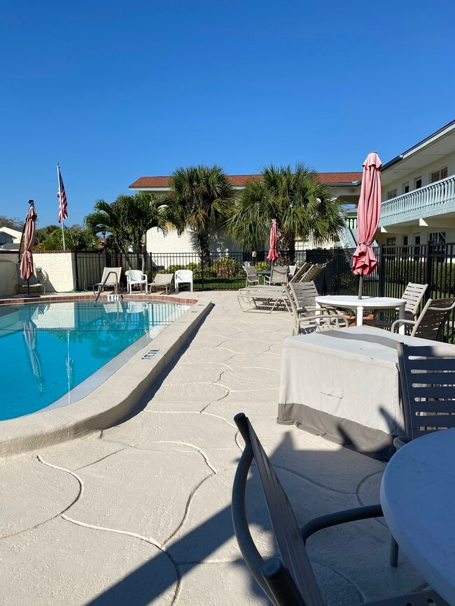 Gorgeous pool - 300 Monroe Ave