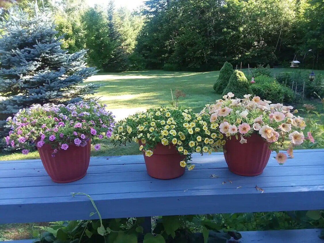 66 Magog Rd Unit Searsmont Studio, Searsmont, ME 04973 Apartments in