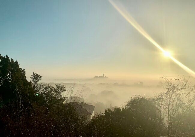 Building Photo - 1915 Sutton Pl