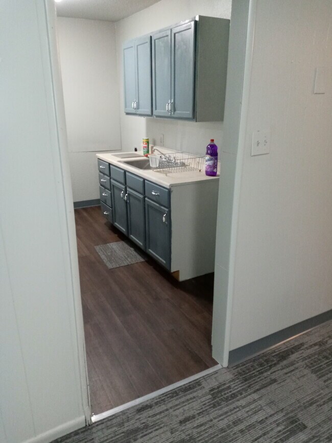 kitchen area - 320 Carson St