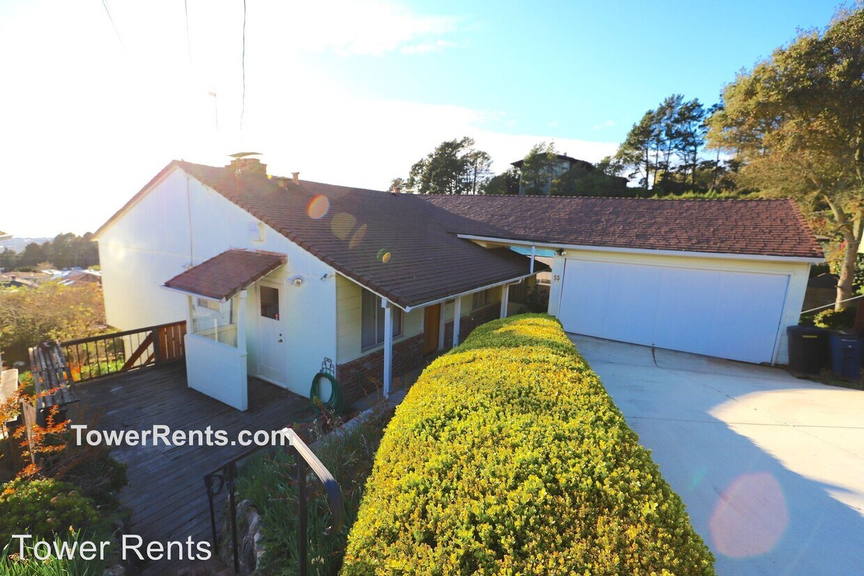 53 Cowper Ave, Kensington, CA 94707 Apartment for Rent in Kensington