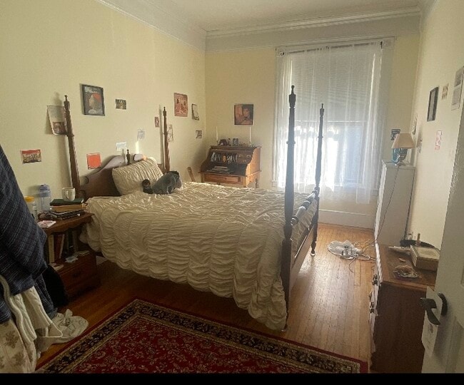 Building Photo - 382 Commonwealth Ave