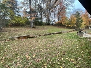 Back Yard - 1111 Donna dr