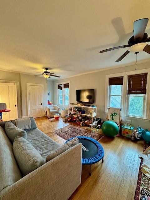 Building Photo - 263 Doyle Ave