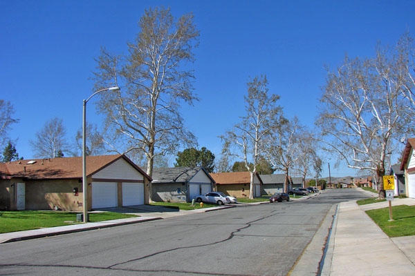 Primary Photo - Hemet Meadows