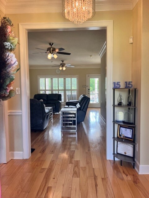 Foto del edificio - 145 Longleaf Dr