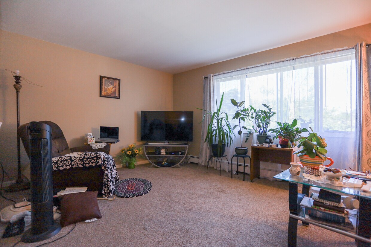 700 McKinley Ave Unit 208, Mundelein, IL 60060 Condo for Rent in