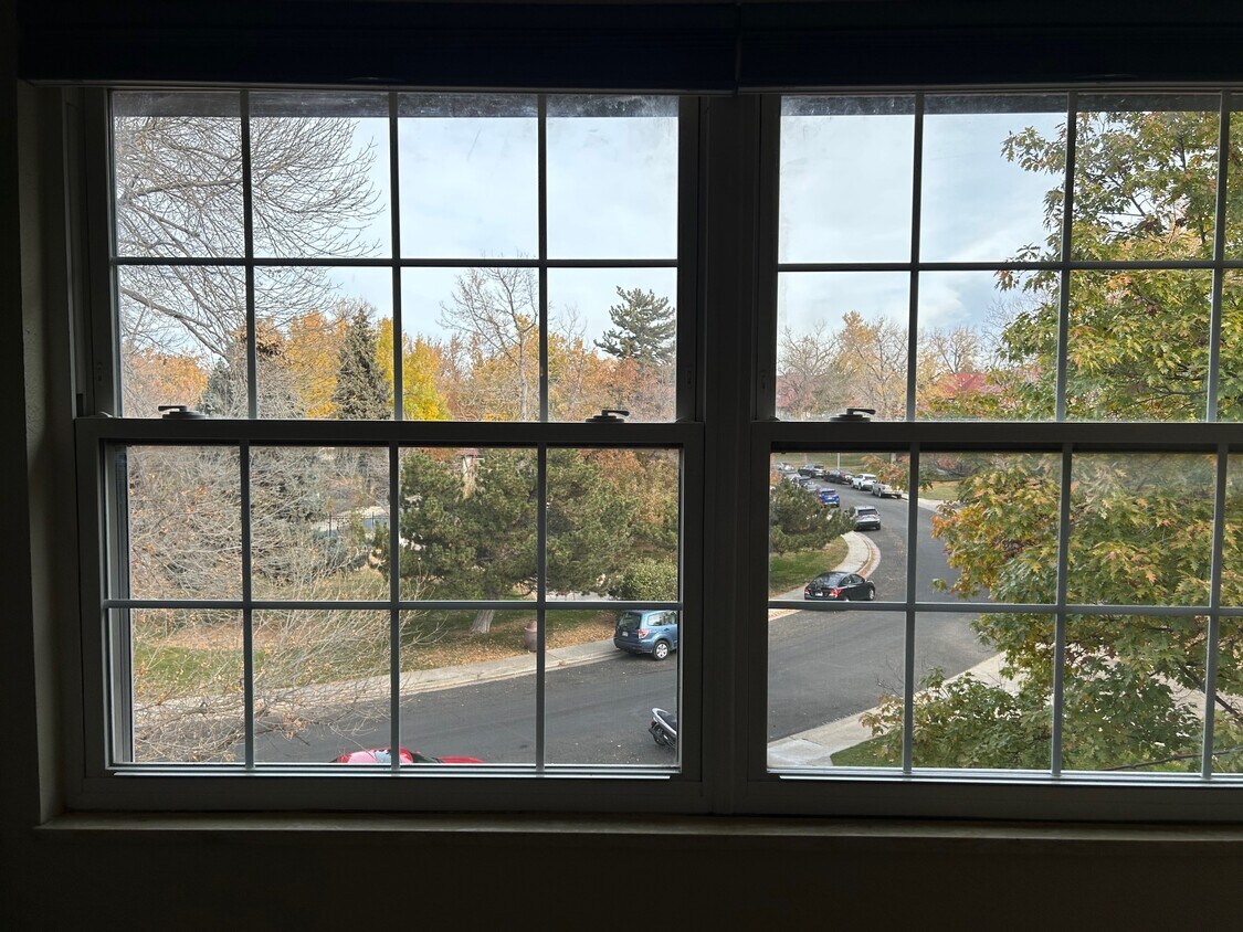 Vista desde la sala de estar - 3250 O'Neal Cir