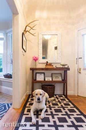 Building Photo - 2 br, 1 bath Apartment - 41 Sussex Street