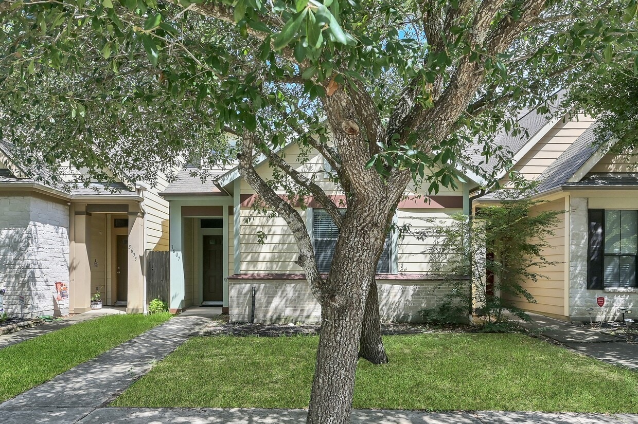 Primary Photo - 3607 Cedar Flats Ln