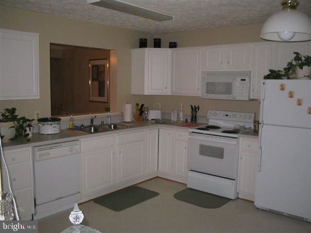 Building Photo - 411 Park Cove Dr