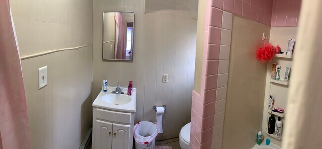 Upstairs Bathroom - 683 Willey St