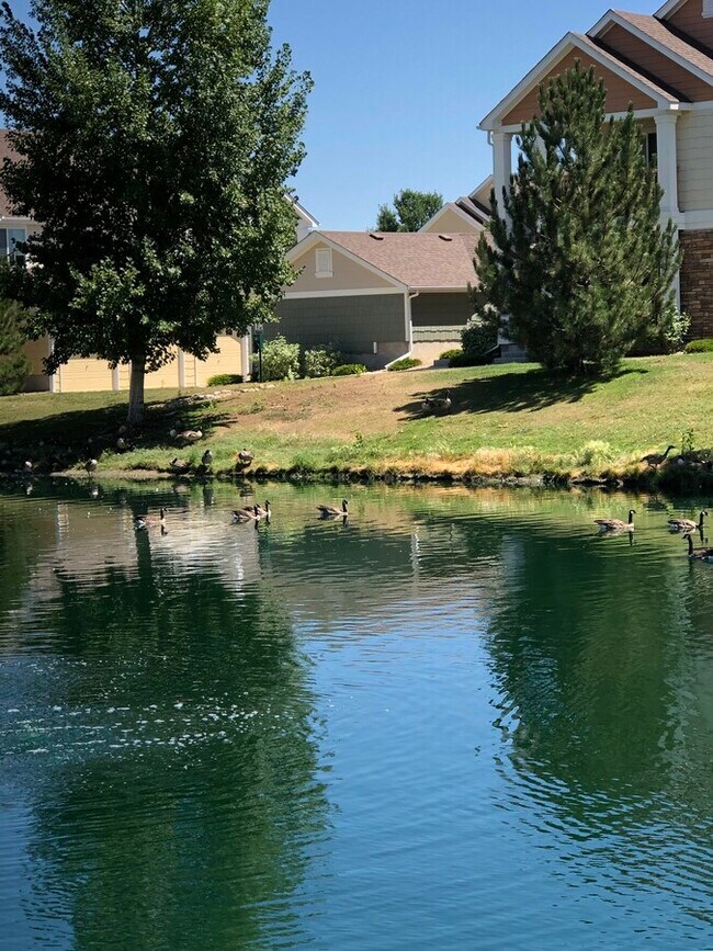 Building Photo - 4895 Hahns Peak Dr