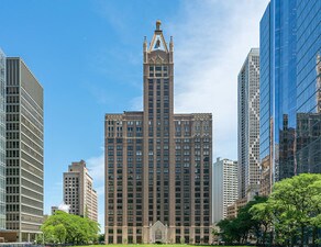 Foto del edificio - 680 N Lake Shore Dr