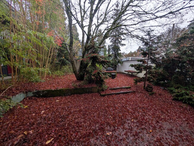 Patio privado - 2005 SE Taylor St