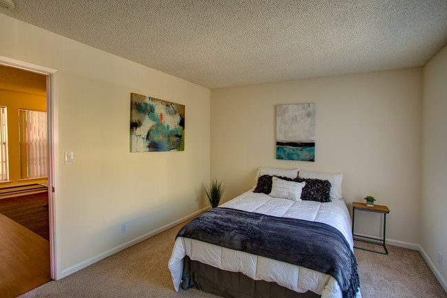 Model Jr. 1 Bed - Cambria Apartments