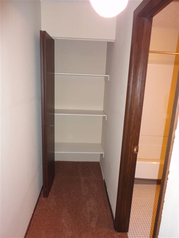 1596 Millpond Ct, Chaska, MN 55318 Condo for Rent in Chaska, MN