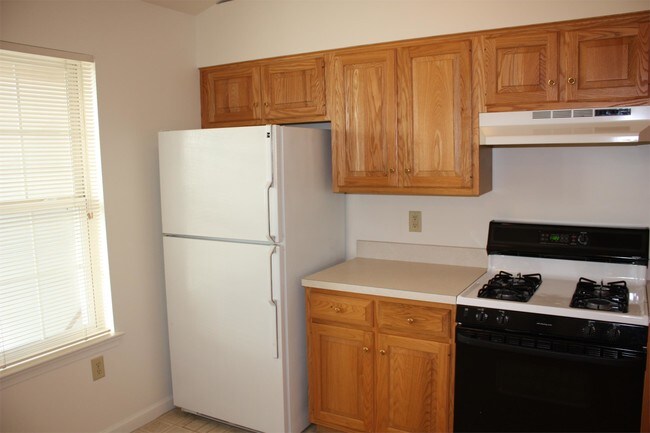 Building Photo - 2113 Shady Oak Dr