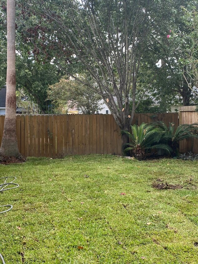 Large back yard with newly laid sod - 15619 Tylermont Dr