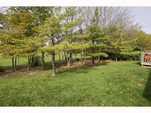 Building Photo - 332 Stoneybrook Grove Dr