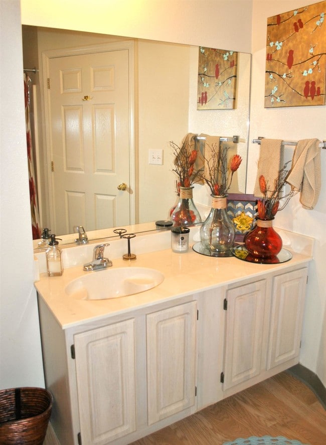 Guest Bathroom - Cypress Lake Apartments