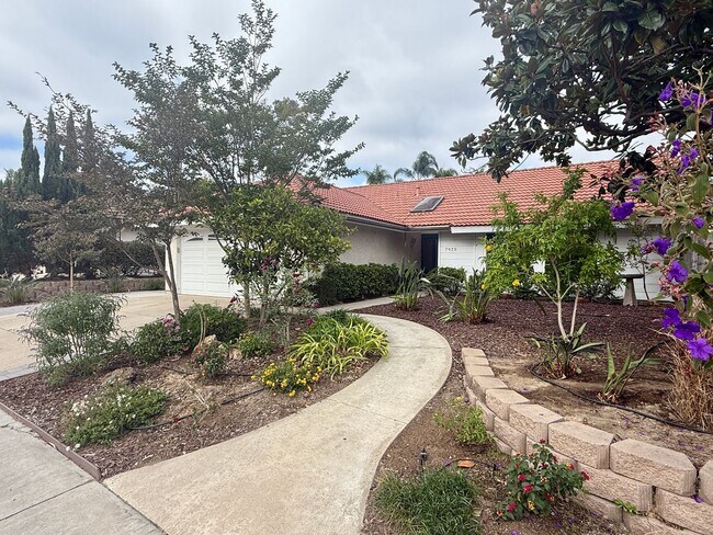 Foto del edificio - Remodeled Ranch Style Home in the Rancho P...