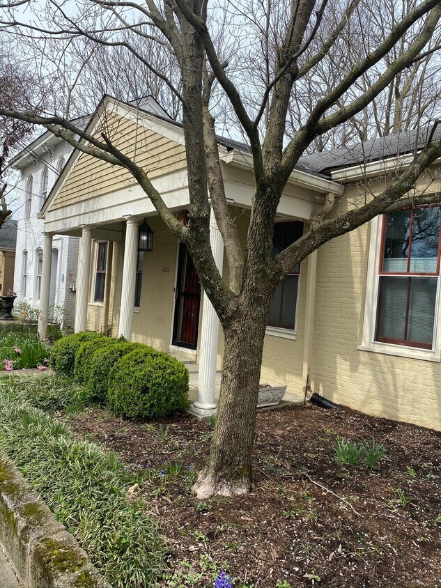 Foto principal - 423 Spring St