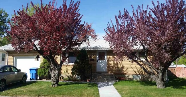Building Photo - 269 Thurston Ave