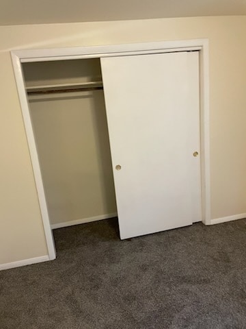 Bedroom Closet - 1055 Bader St