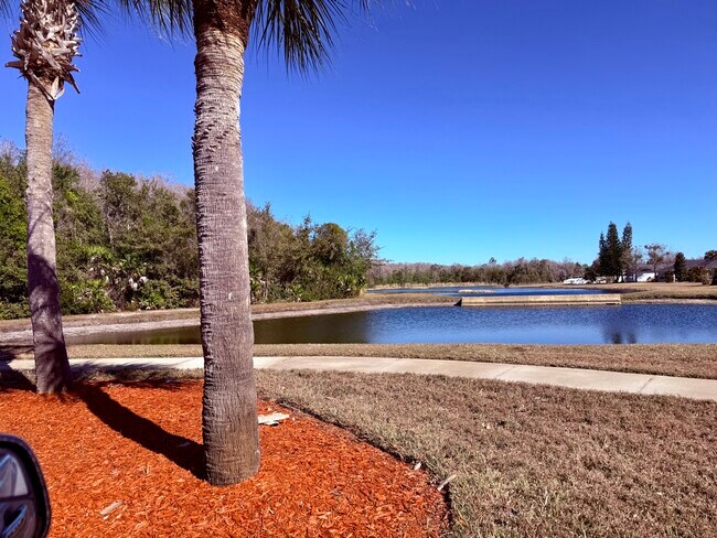 Foto del edificio - 3046 Bay Laurel Cir N