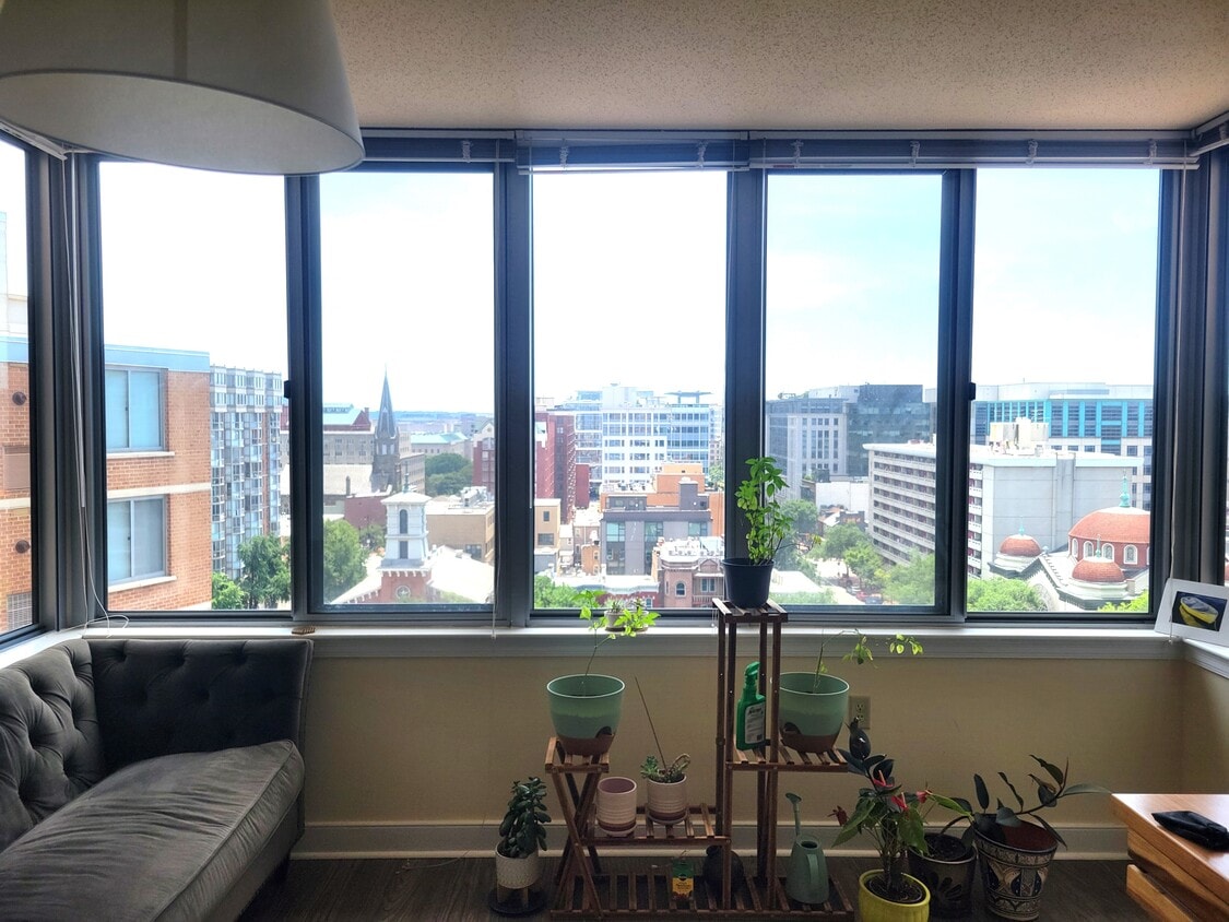 Living room windows - 555 Massachusetts Ave NW