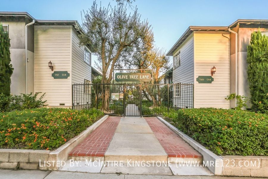 Primary Photo - Home-Sweet-Home Vibe in Olive Tree!
