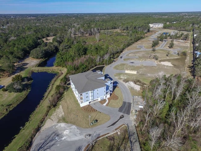Building Photo - Dolphin Shores