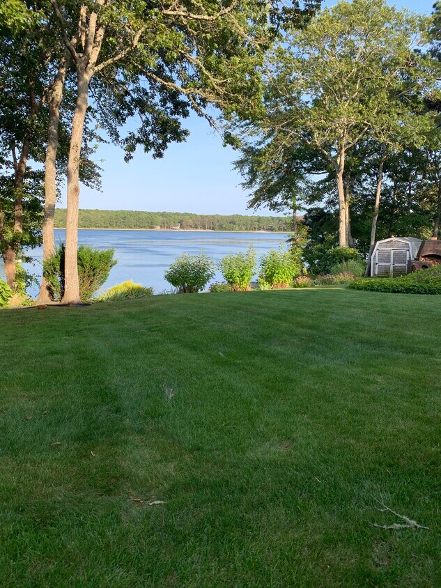 Lush landscaping - 68 Horse Pond Rd
