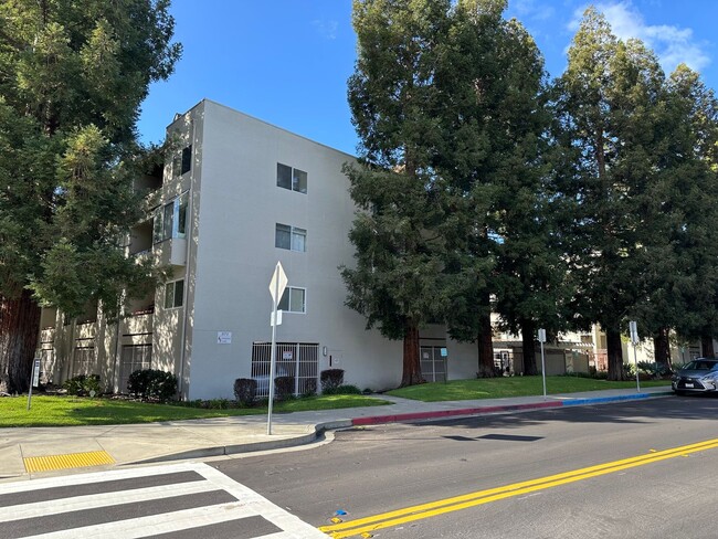 Foto del edificio - 1 Bed 1 Bath Condo In Walnut Creek