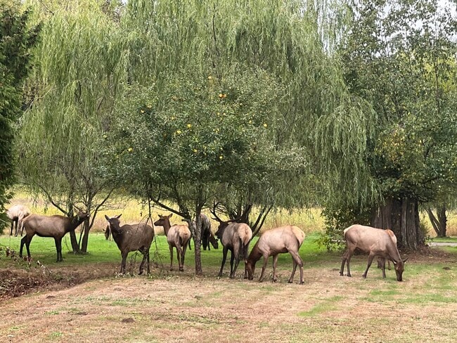 Foto del edificio - 7728 Alpine Ln