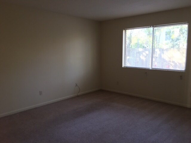 Foto del edificio - 2 Bedroom Apartment - Close to VSU!