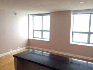 Building Photo - 474 N Lake Shore Dr