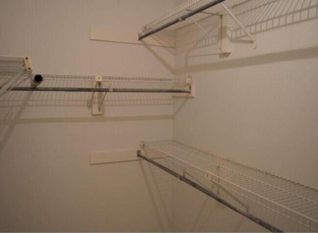 Building Photo - 3119 Rifle Gap Ln