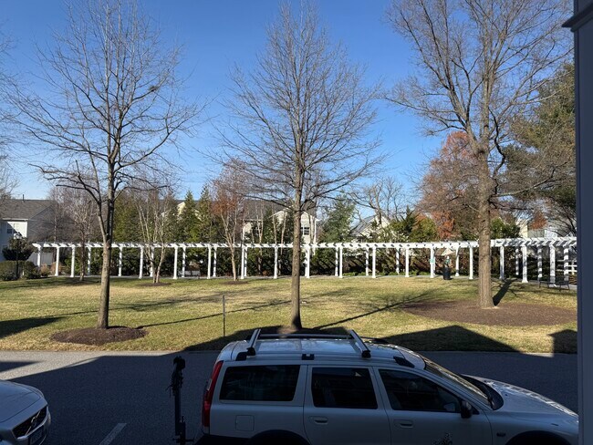 Área de parque para perros - 20 Boucher Pl