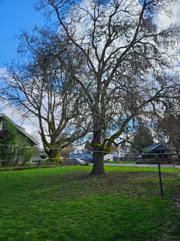 Photo - 9206-9210 N John Ave Apartment