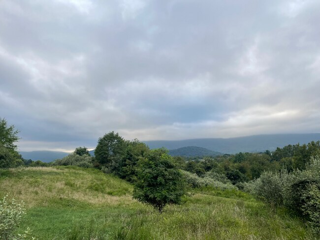 Foto del edificio - 1015 Heathercroft Cir