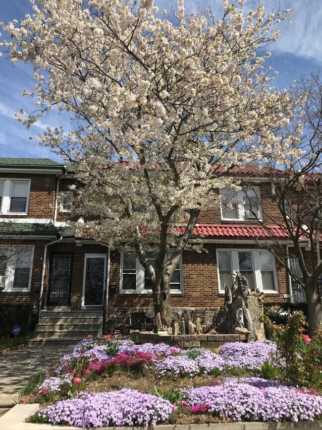 Foto del edificio - 257 Chelten Ave