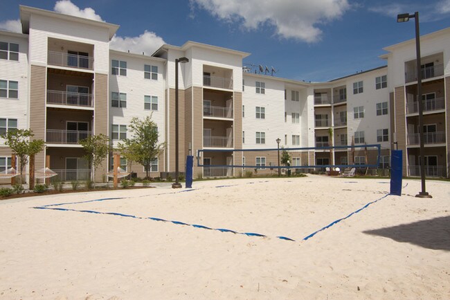 Monarch 301 Apartments Statesboro Ga Building Photo Monarch 301