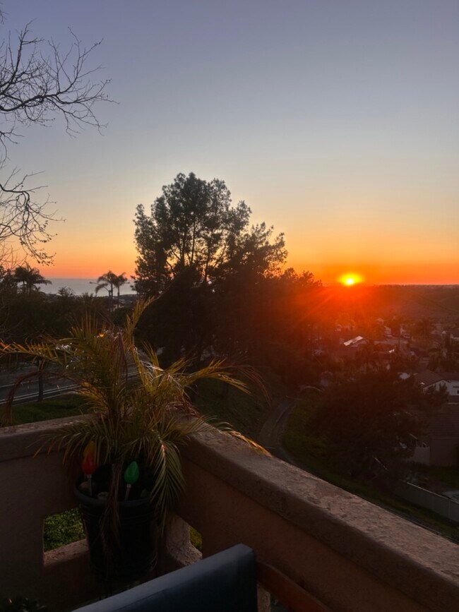 Balcony View - 1040 Calle del Cerro