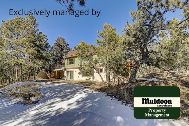 Building Photo - Stunning Black Forest Home!