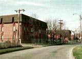 Building Photo - The Phoenix at Delmar